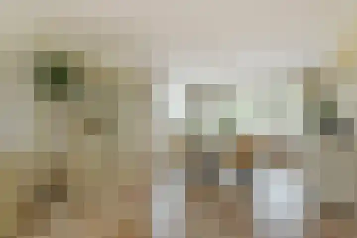 Dorpsstraat 93 Zevenhoven thumbnail 9