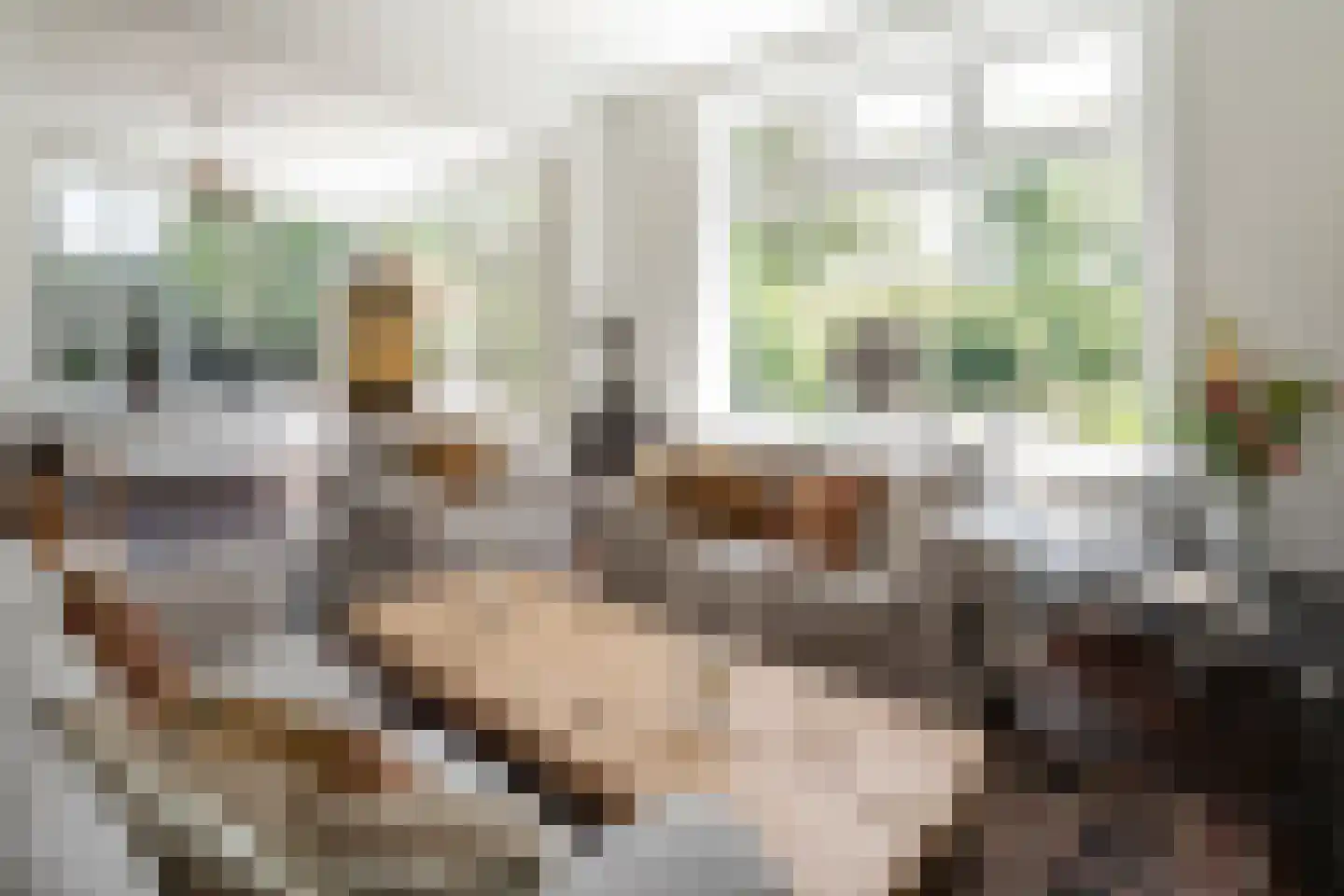 Dorpsstraat 94 Aarle-Rixtel thumbnail 11