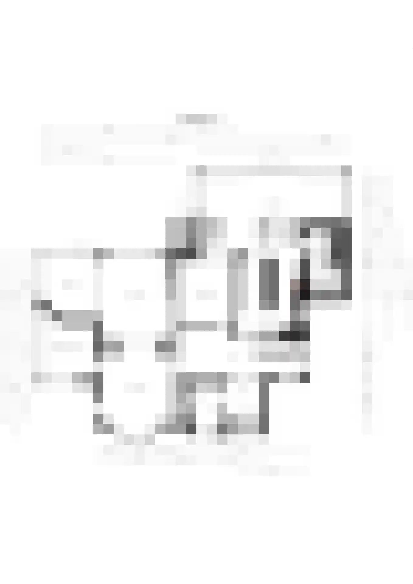 Dorpsstraat 94 Aarle-Rixtel thumbnail 31