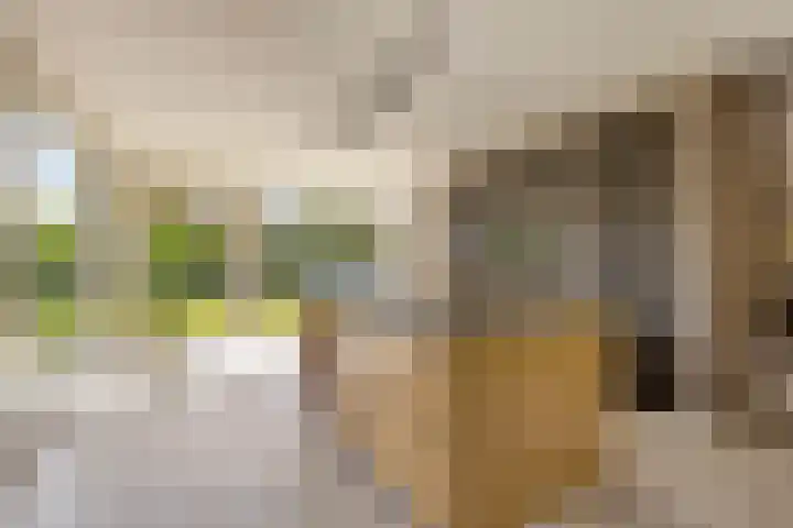 Dorpsstraat 94 Chaam thumbnail 22