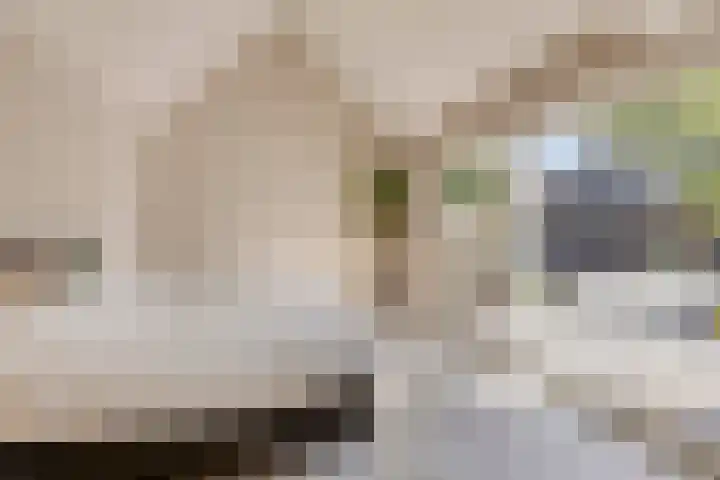 Dorpsstraat 94 Chaam thumbnail 30