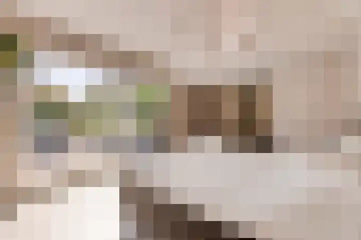 Dorpsstraat 94 Chaam thumbnail 31