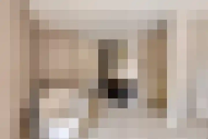 Dorpsstraat 94 Chaam thumbnail 32