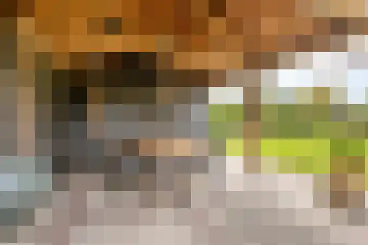 Dorpsstraat 94 Chaam thumbnail 48