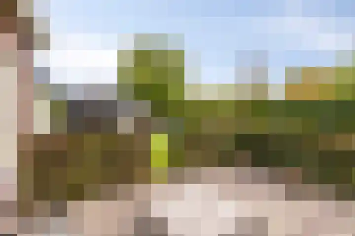 Dorpsstraat 94 Chaam thumbnail 53