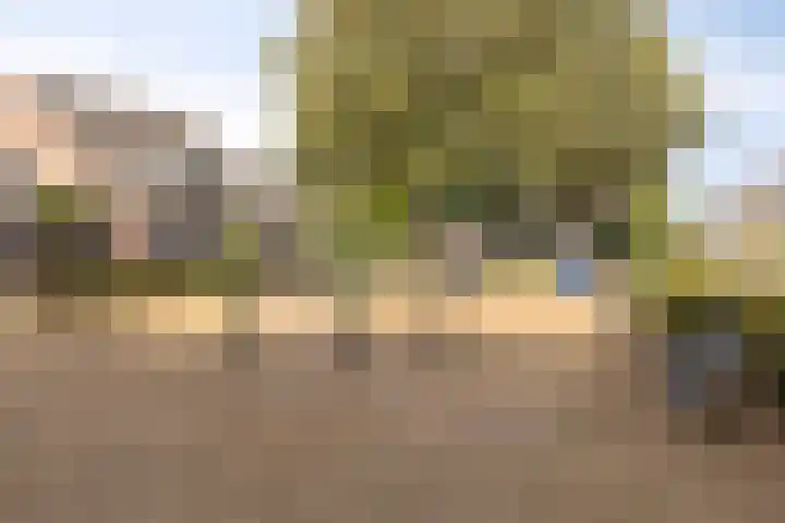 Dorpsstraat 94 Chaam thumbnail 59
