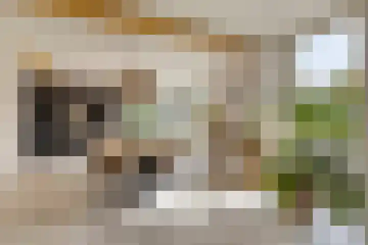 Dorpsstraat 94 Chaam thumbnail 6