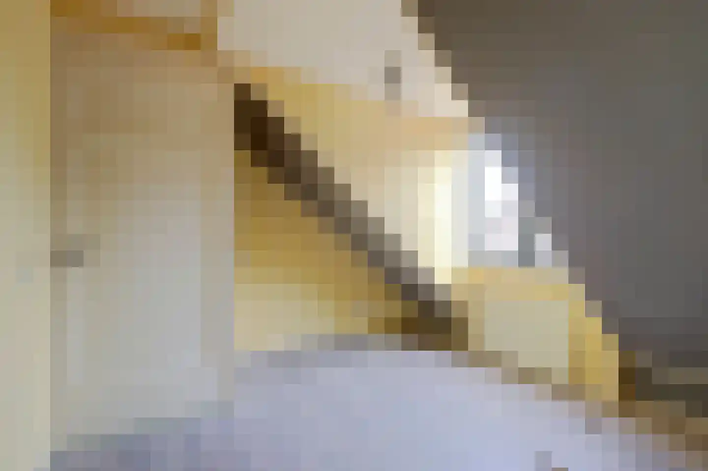 Dorpsstraat 94 Renkum thumbnail 27