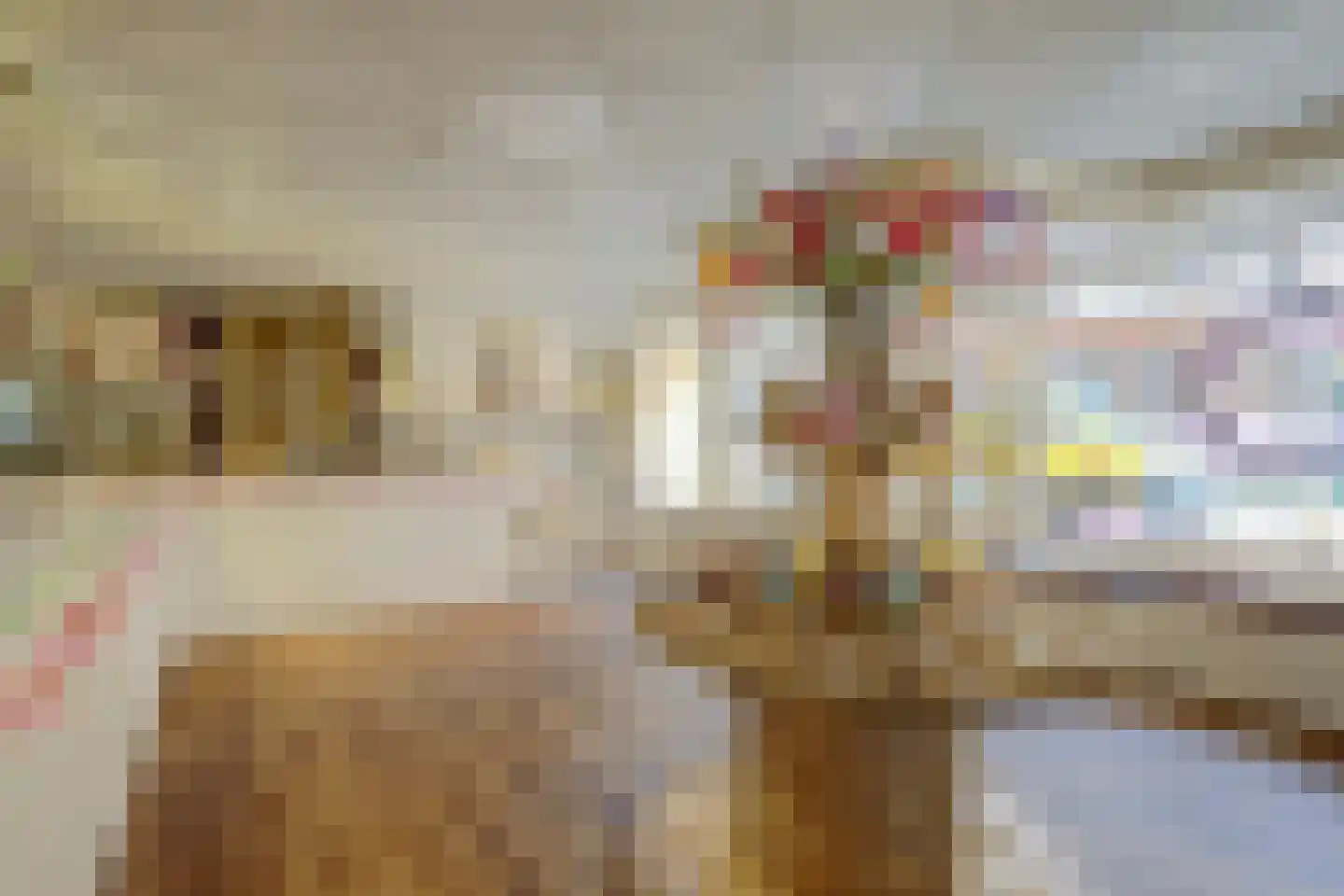 Dorpsstraat 94 Renkum thumbnail 8