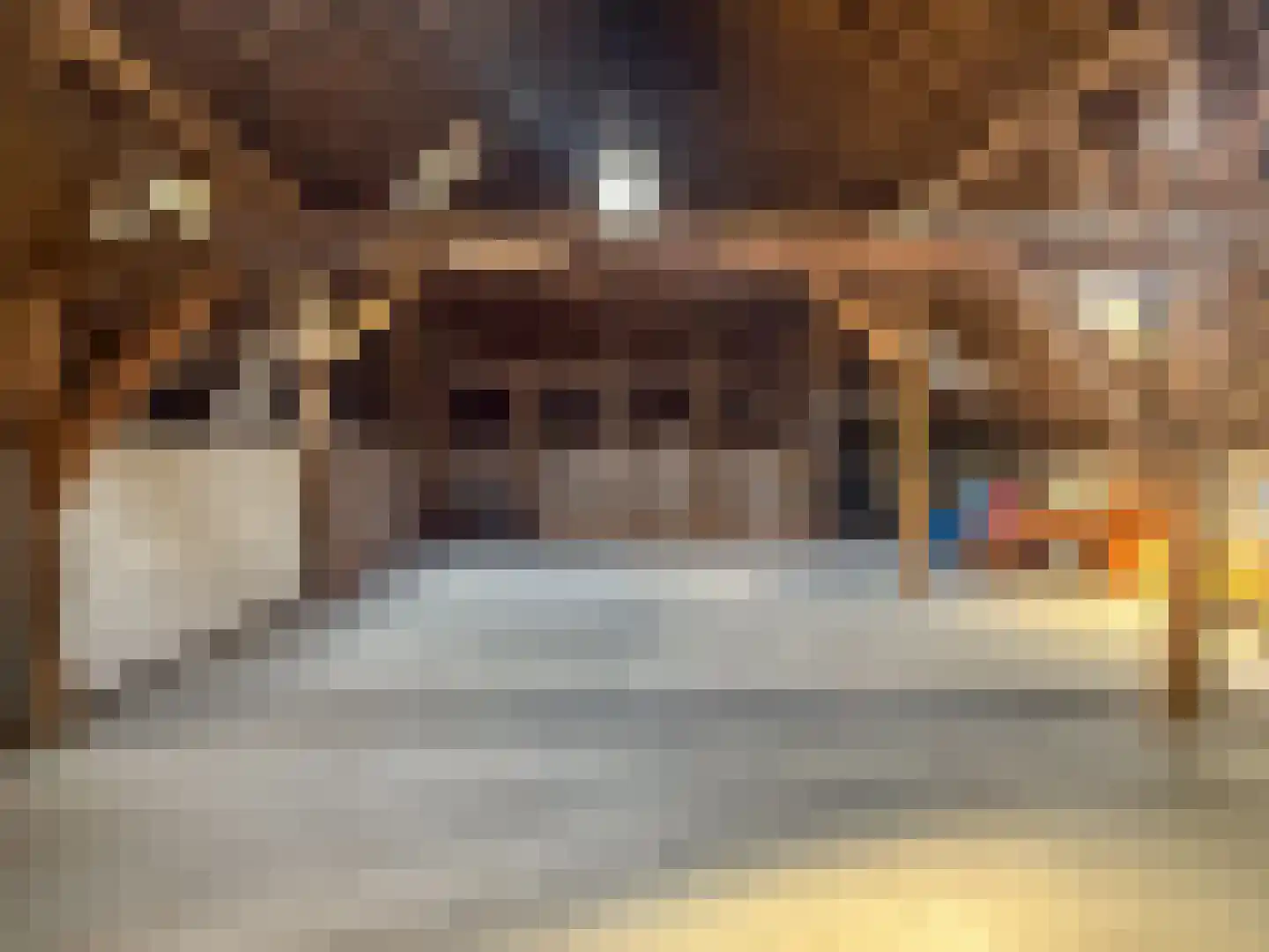 Dorpsstraat 95 A Nijeveen thumbnail 10