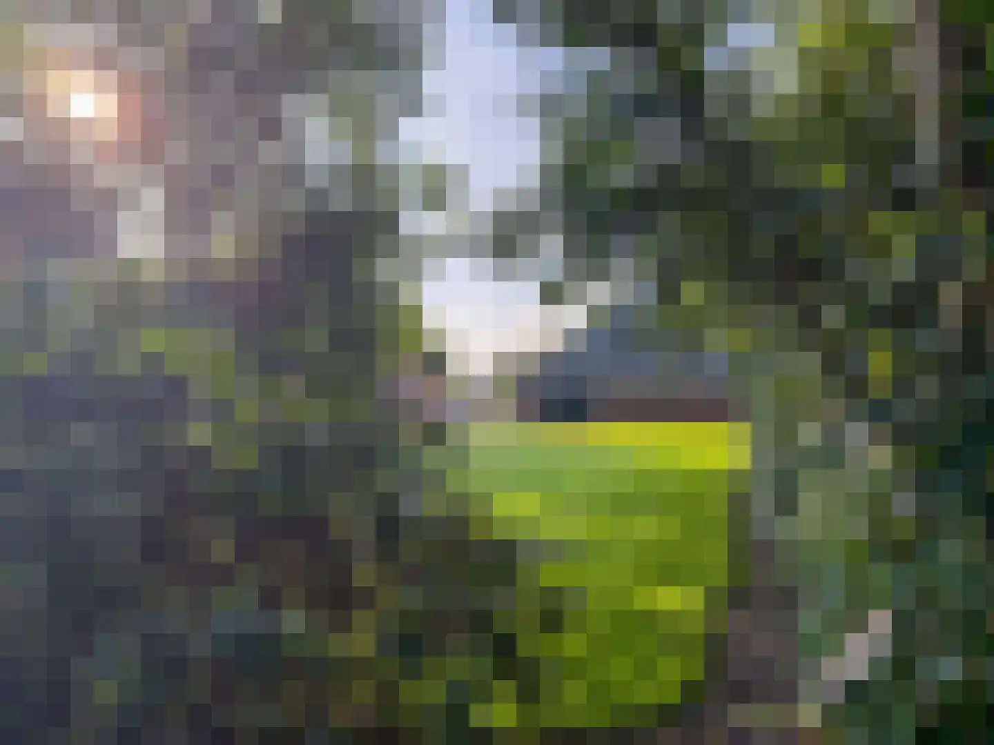 Dorpsstraat 95 A Nijeveen thumbnail 5