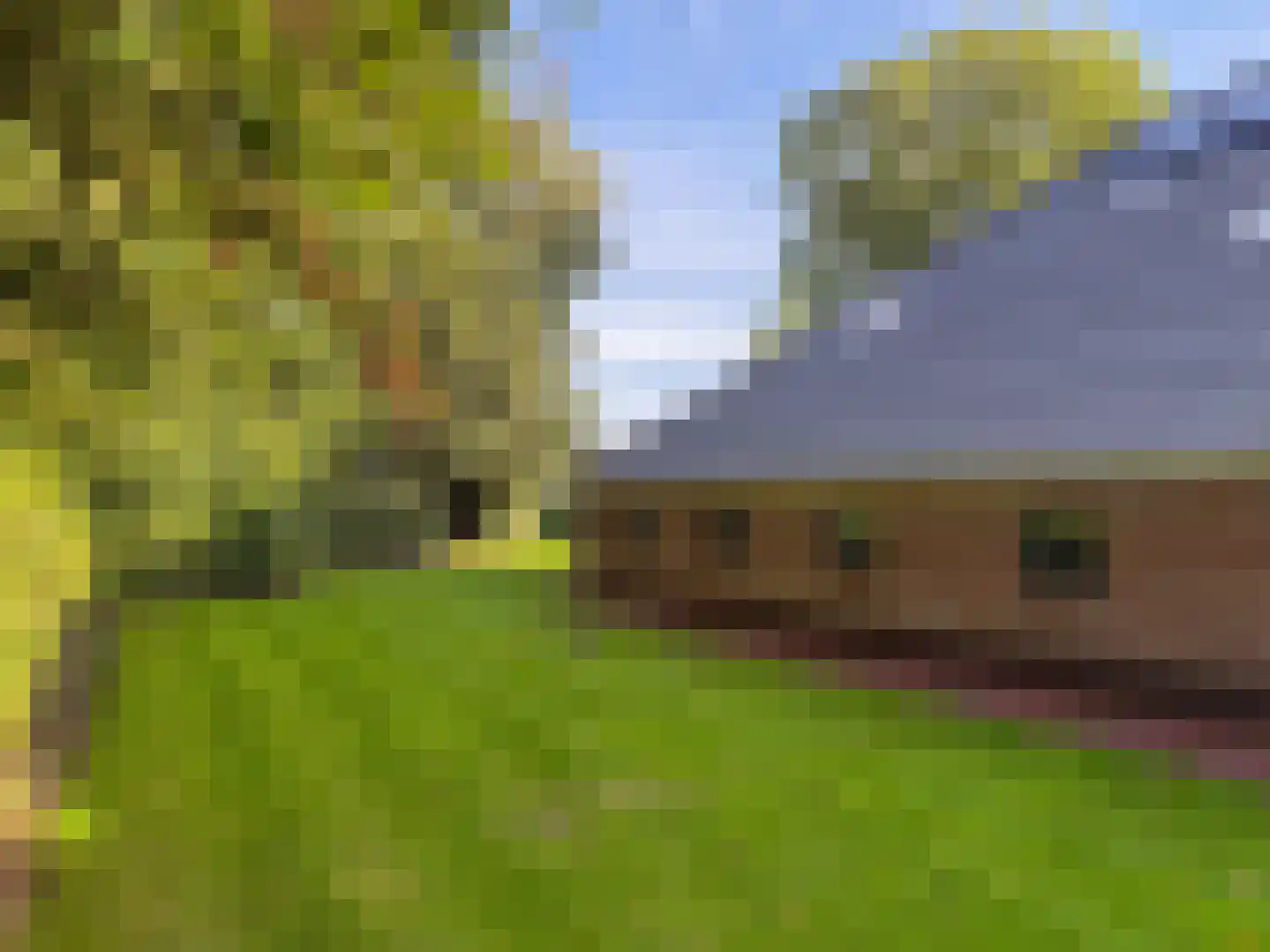 Dorpsstraat 95 A Nijeveen thumbnail 6