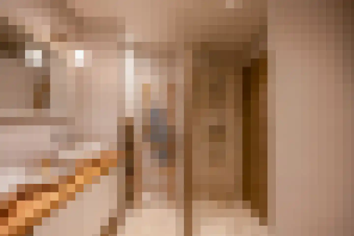 Dorpsstraat 95 Nijmegen thumbnail 31