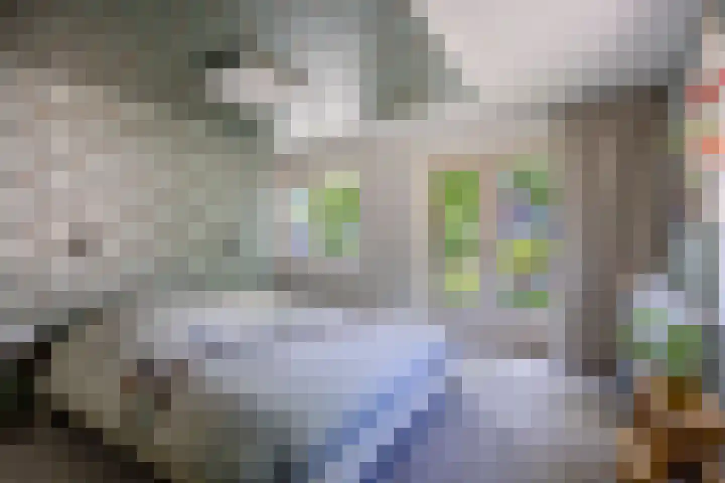 Dorpsstraat 95 Nijmegen thumbnail 34