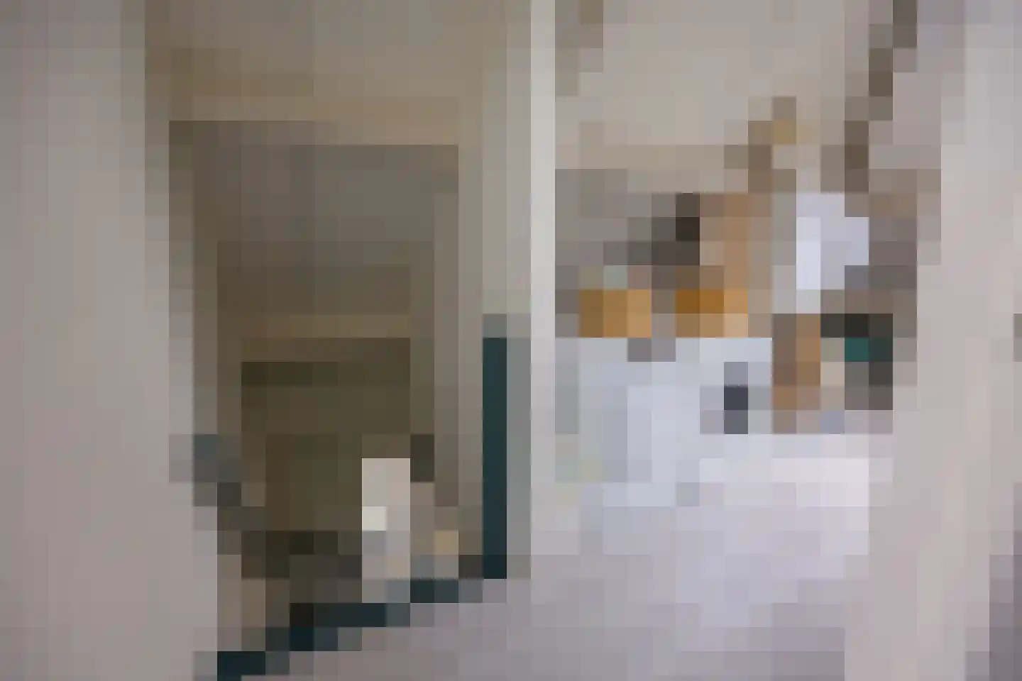 Dorpsstraat 95 Nijmegen thumbnail 41