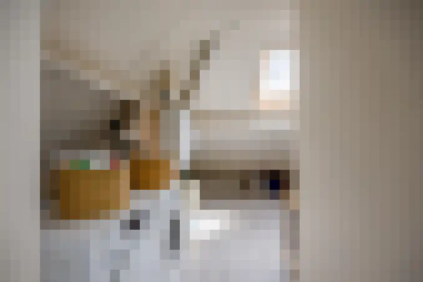 Dorpsstraat 95 Nijmegen thumbnail 42