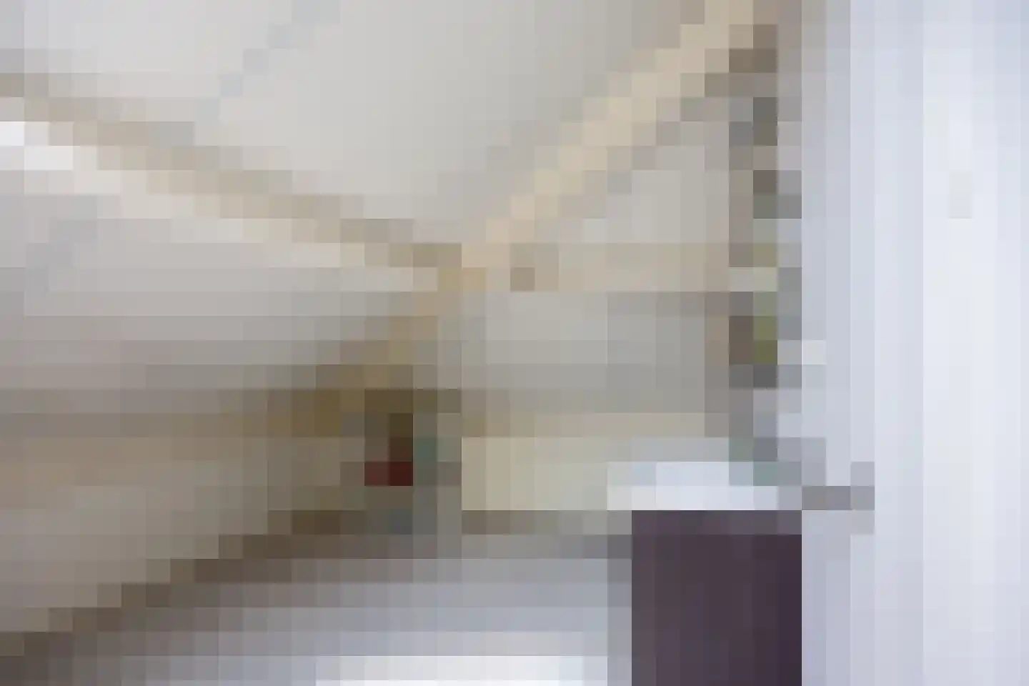 Dorpsstraat 95 Nijmegen thumbnail 47
