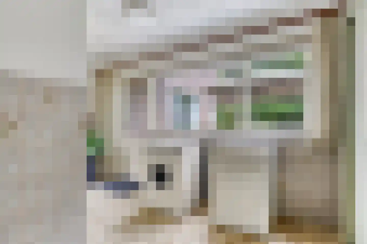 Dorpsstraat 95 Ulicoten thumbnail 17