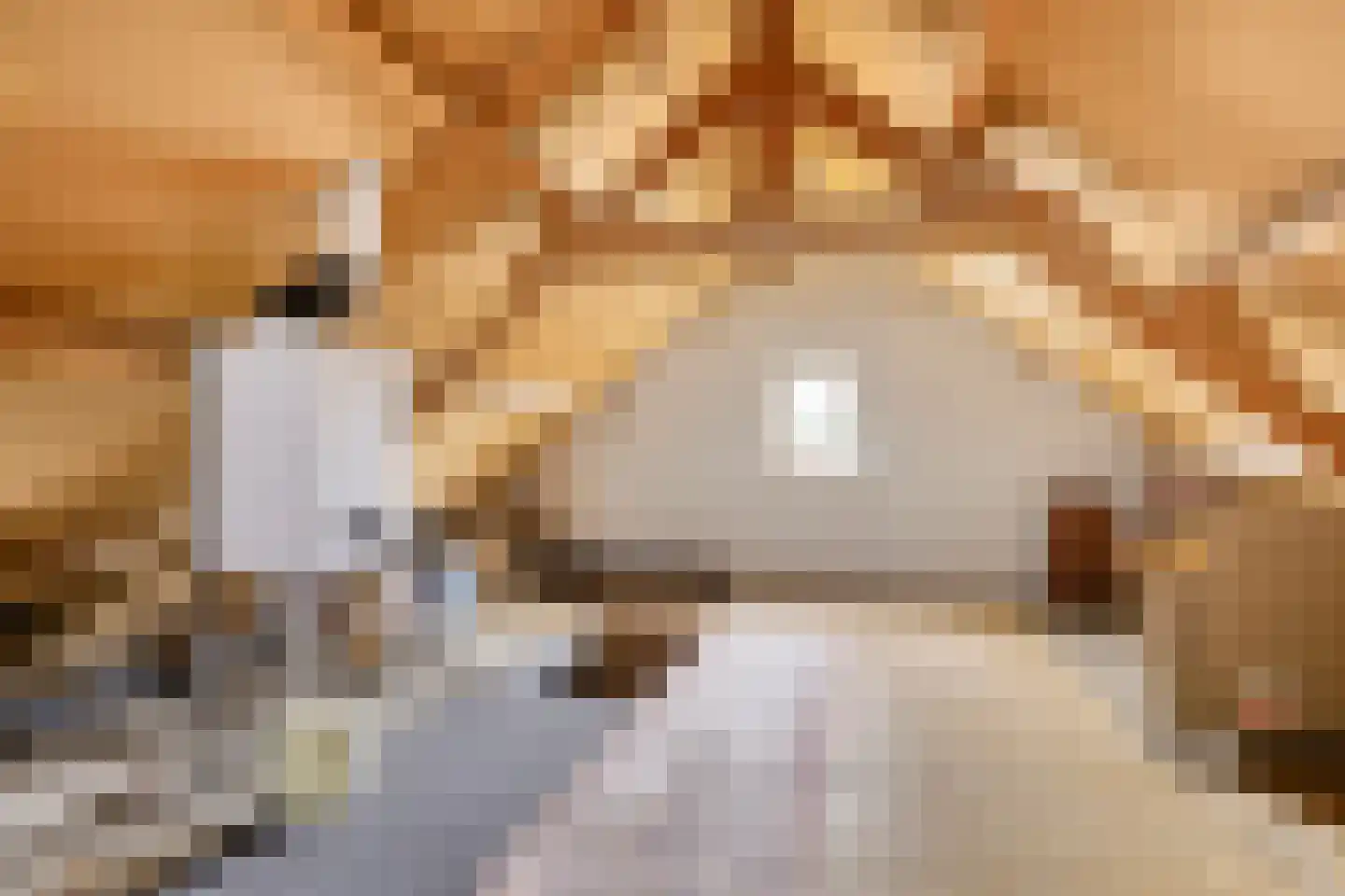 Dorpsstraat 95 Ulicoten thumbnail 29