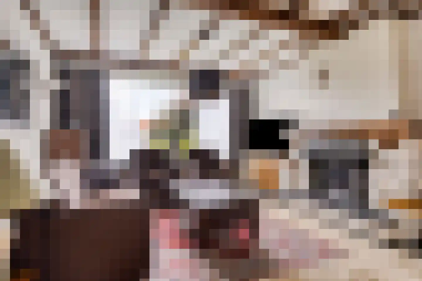 Dorpsstraat 95 Ulicoten thumbnail 9