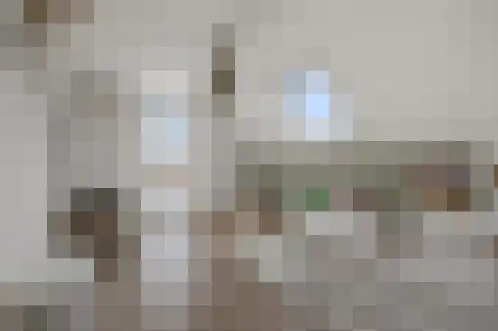 Dorpsstraat 95 Zevenhoven thumbnail 22