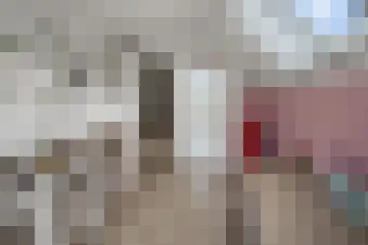 Dorpsstraat 95 Zevenhoven thumbnail 26