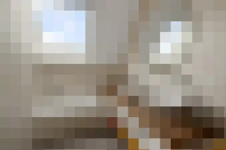 Dorpsstraat 95 Zevenhoven thumbnail 30