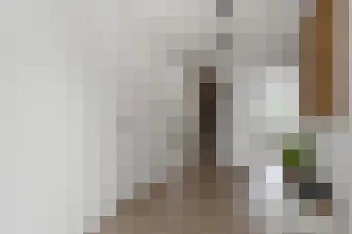 Dorpsstraat 95 Zevenhoven thumbnail 34