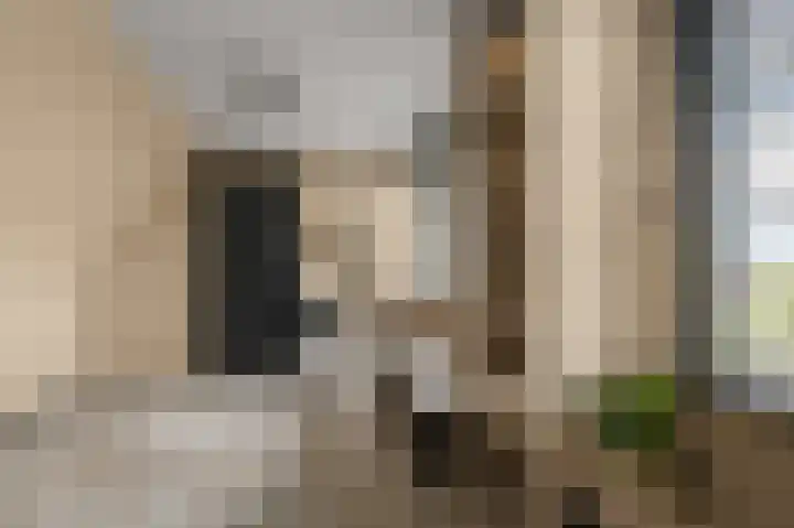 Dorpsstraat 95 Zevenhoven thumbnail 35