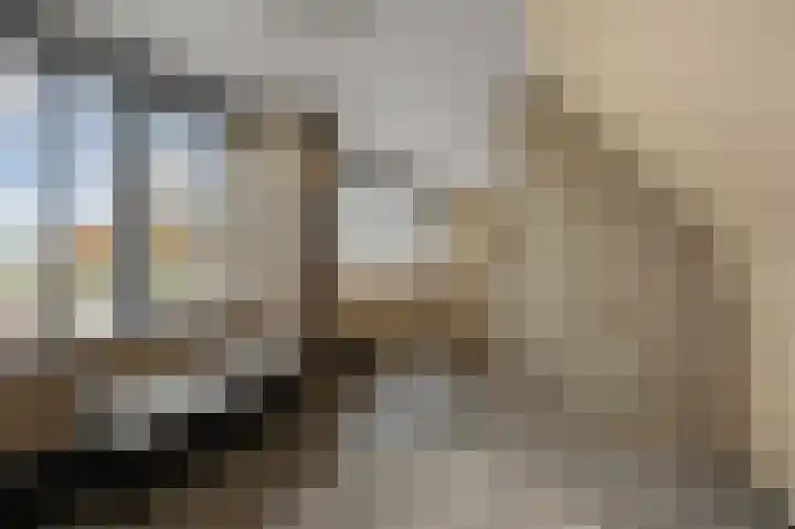 Dorpsstraat 95 Zevenhoven thumbnail 38