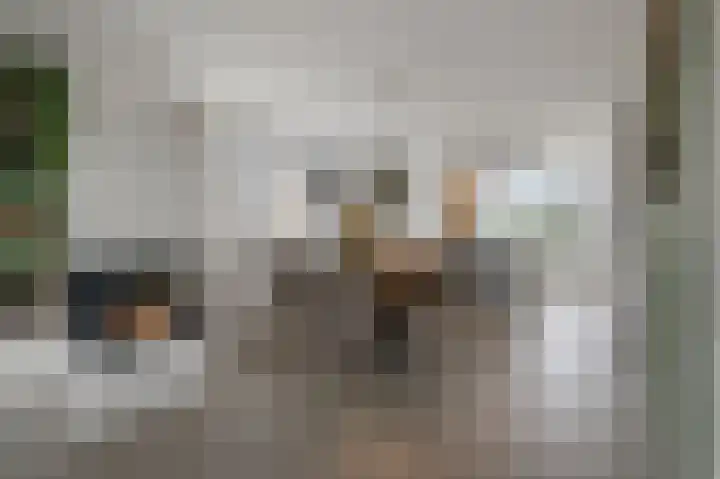 Dorpsstraat 95 Zevenhoven thumbnail 4