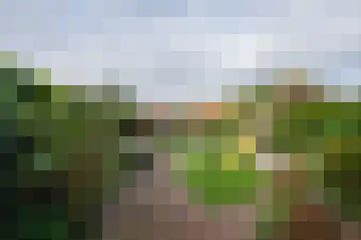 Dorpsstraat 95 Zevenhoven thumbnail 40
