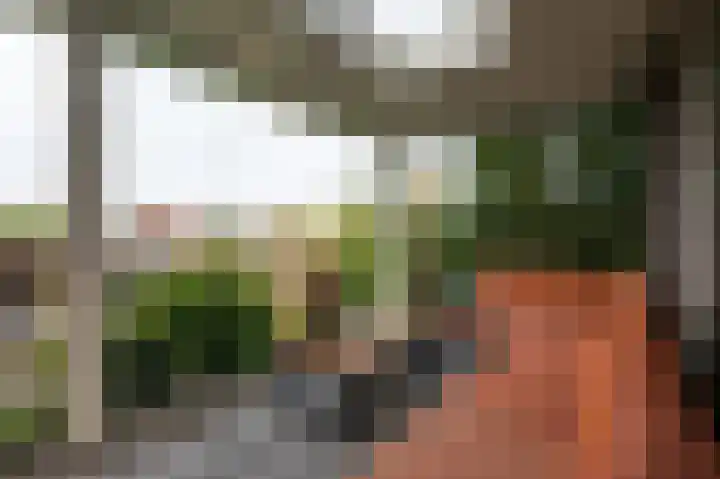 Dorpsstraat 95 Zevenhoven thumbnail 41