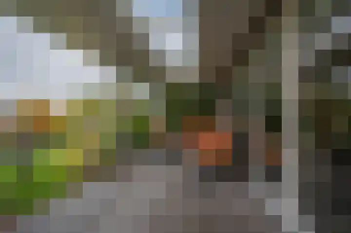 Dorpsstraat 95 Zevenhoven thumbnail 42