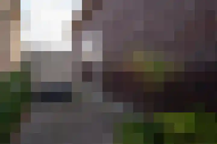 Dorpsstraat 95 Zevenhoven thumbnail 49