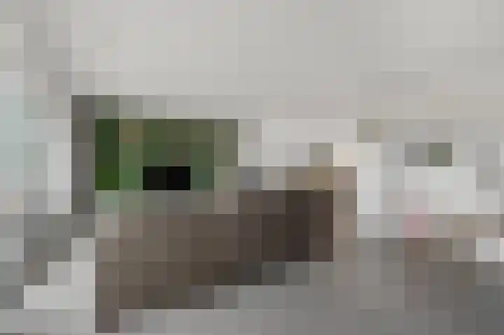 Dorpsstraat 95 Zevenhoven thumbnail 8