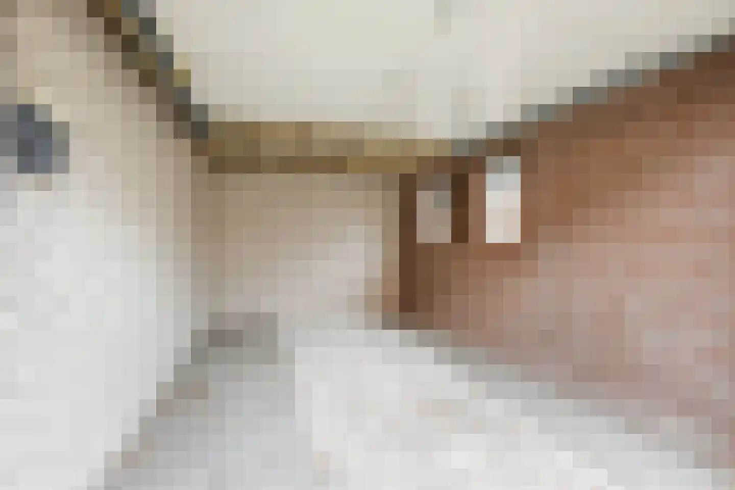 Dorpsstraat 96 de Wijk thumbnail 30
