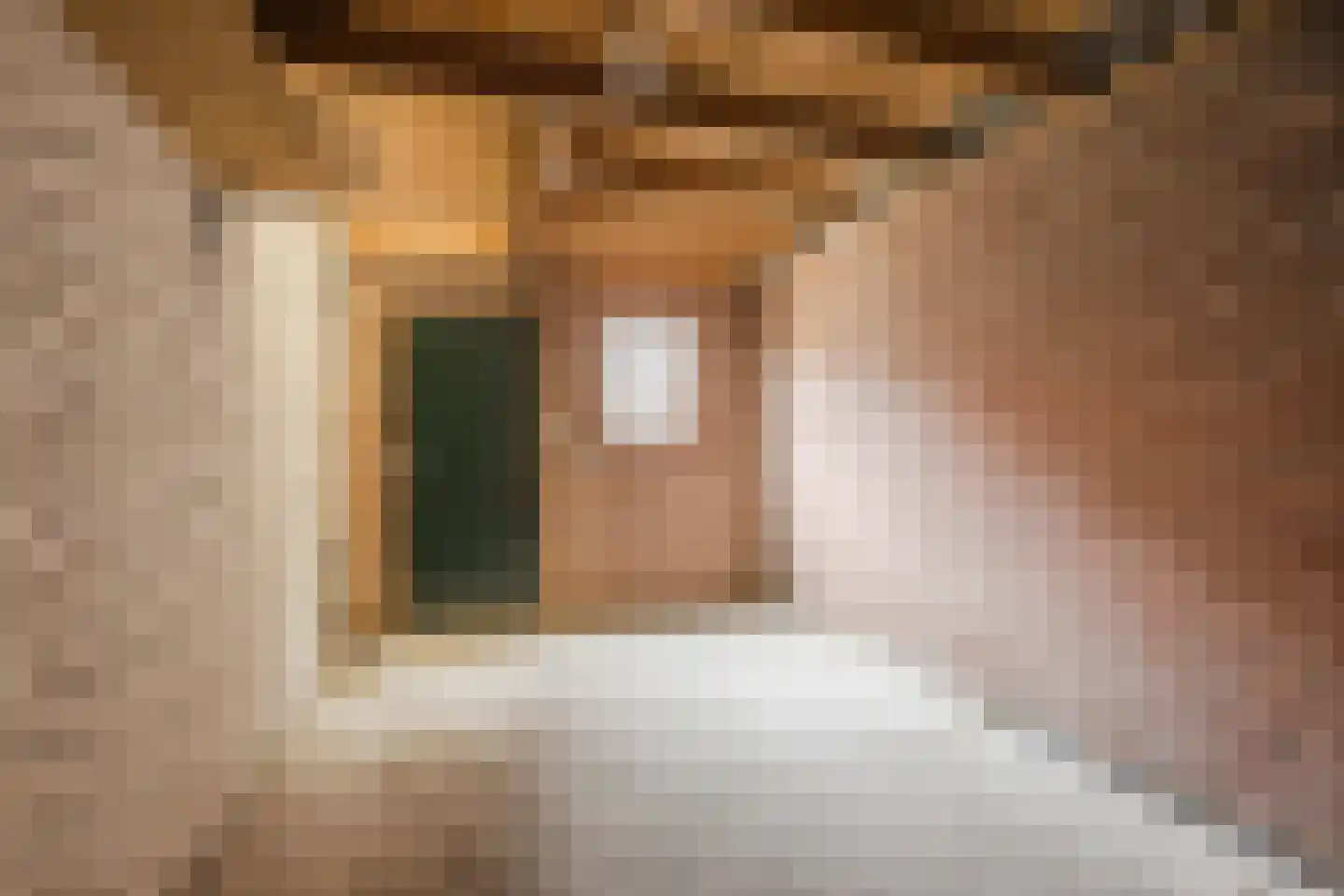Dorpsstraat 96 de Wijk thumbnail 32