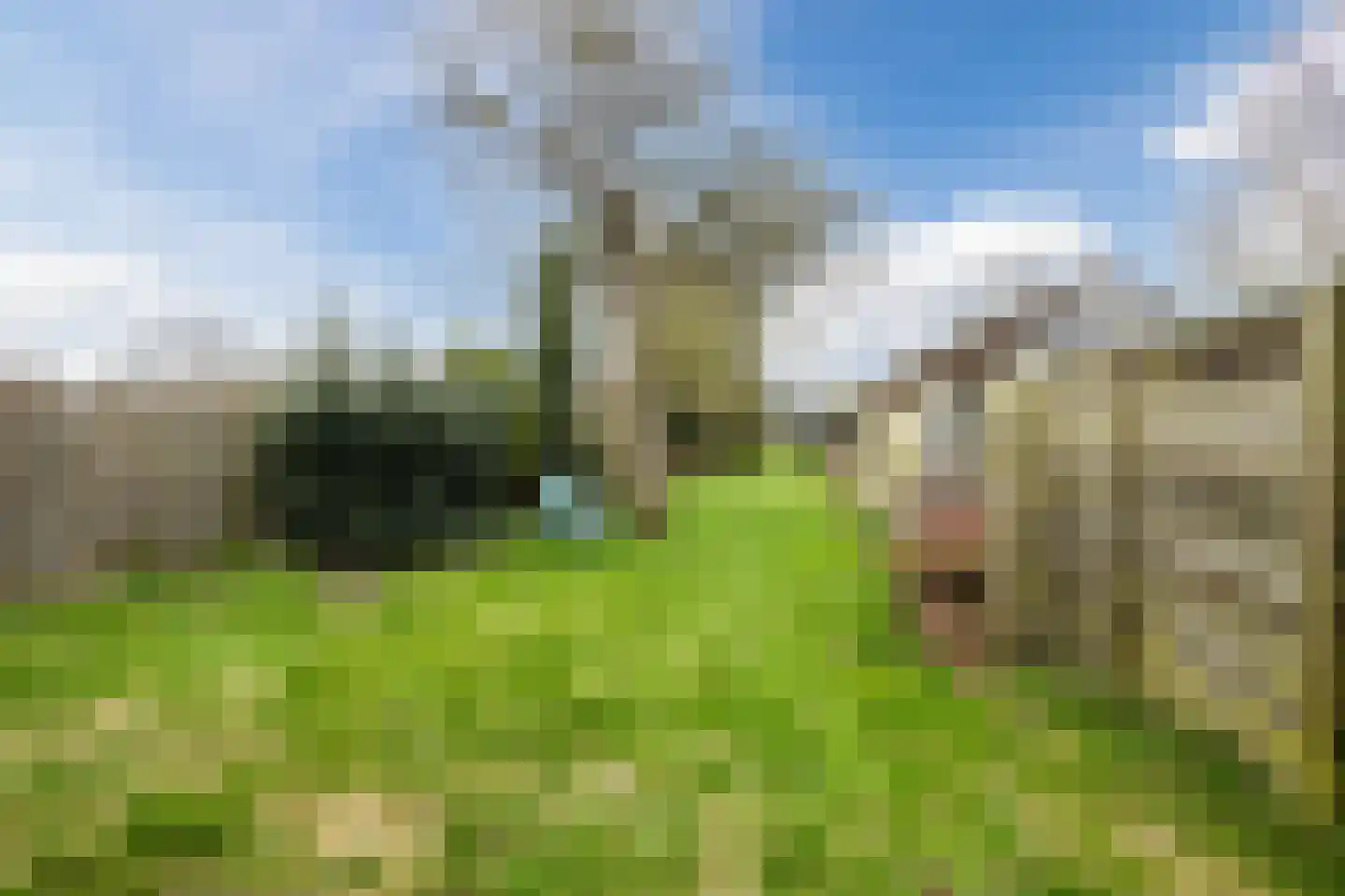 Dorpsstraat 96 de Wijk thumbnail 38