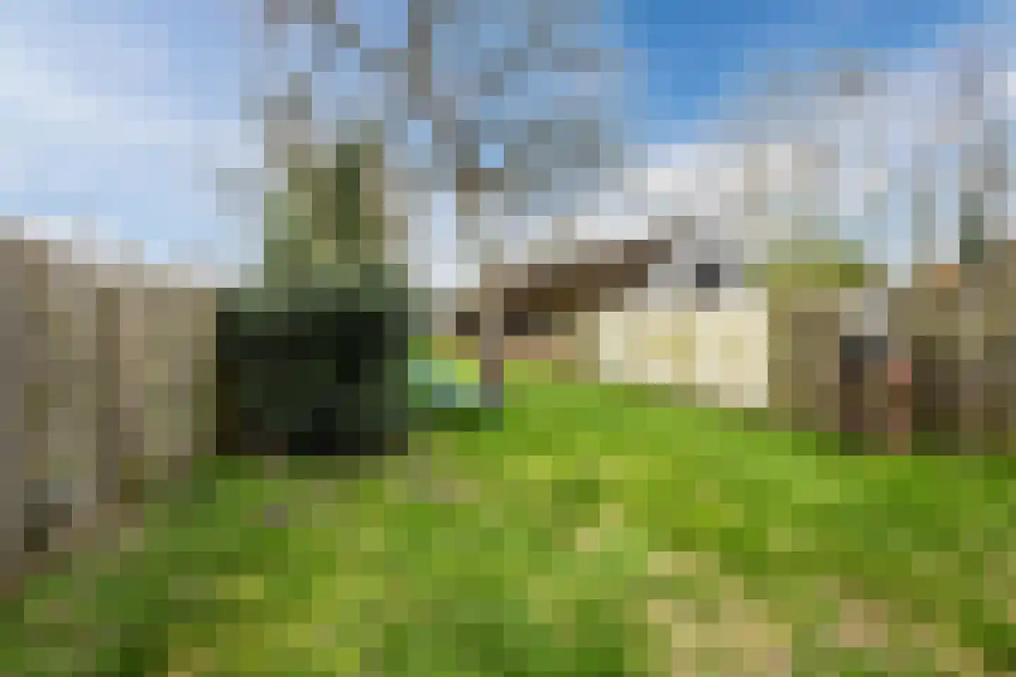 Dorpsstraat 96 de Wijk thumbnail 39