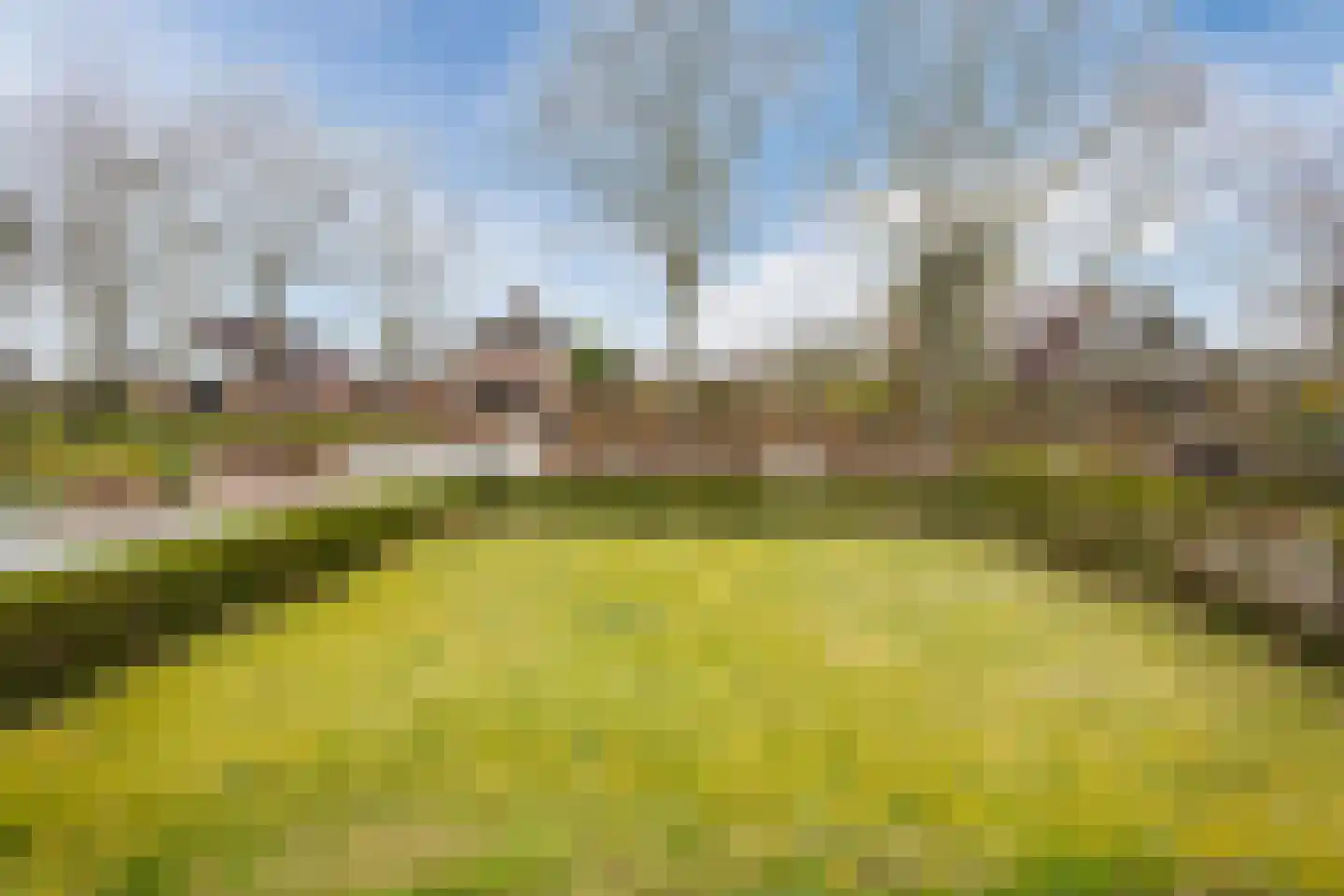 Dorpsstraat 96 de Wijk thumbnail 4