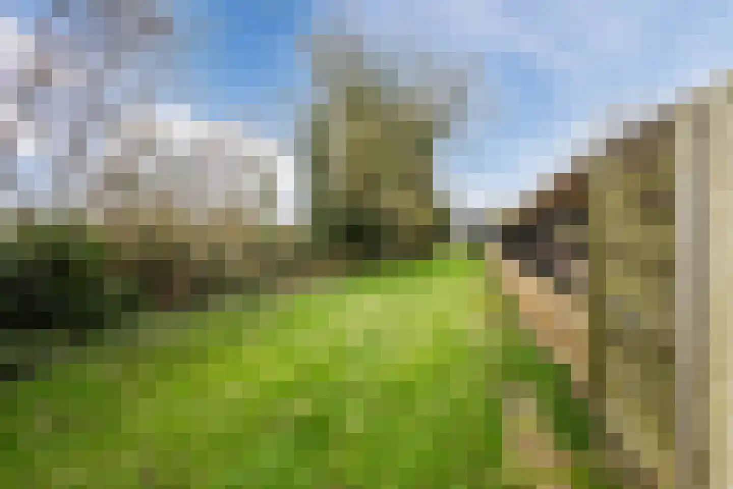 Dorpsstraat 96 de Wijk thumbnail 40