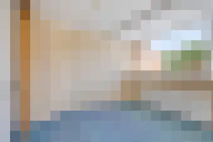 Dorpsstraat 969 Assendelft thumbnail 8