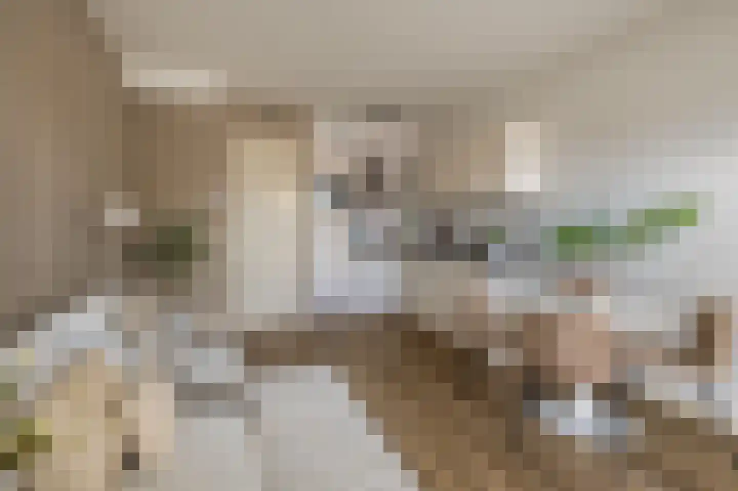 Dorpsstraat 97 G Zoetermeer thumbnail 12