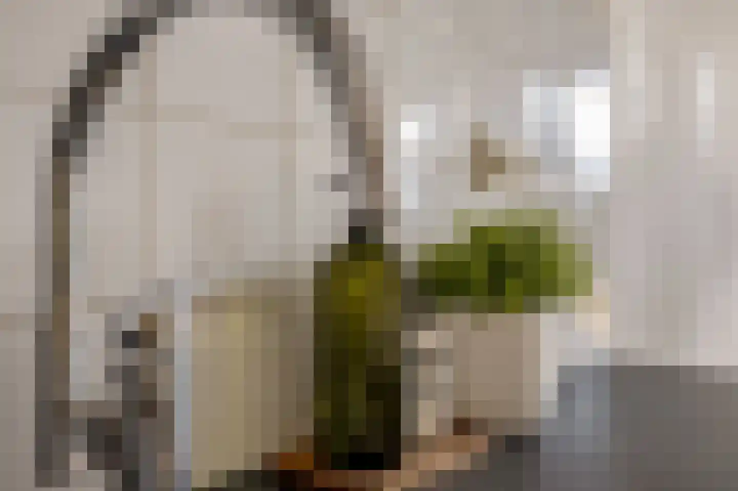 Dorpsstraat 97 G Zoetermeer thumbnail 21