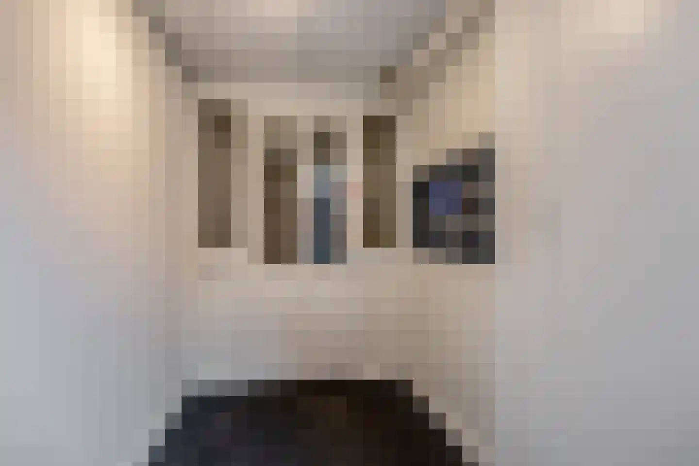 Dorpsstraat 97 G Zoetermeer thumbnail 33
