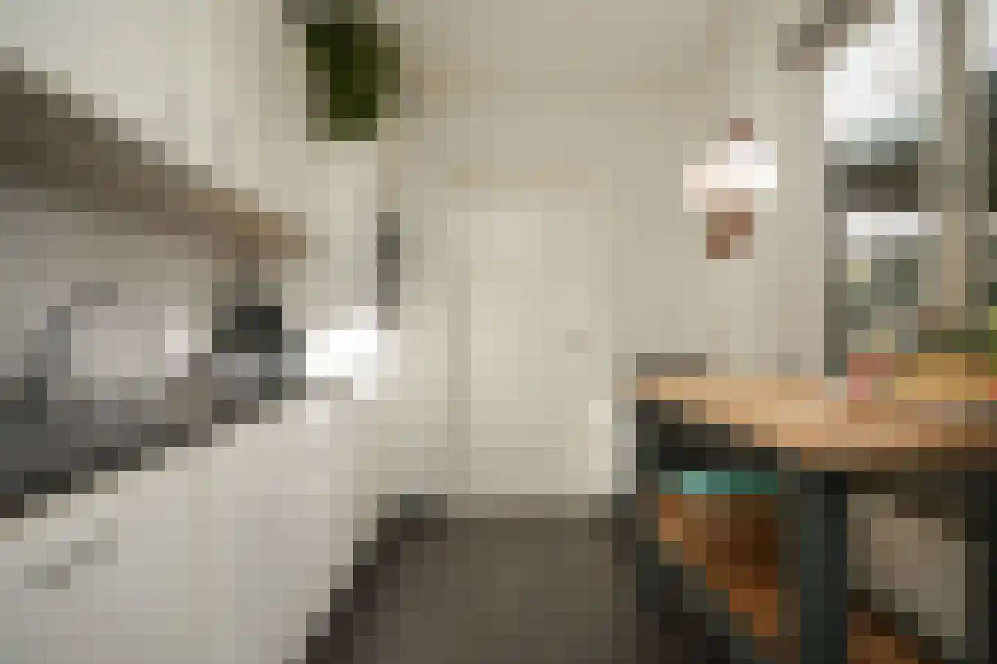 Dorpsstraat 97 Meeuwen thumbnail 10