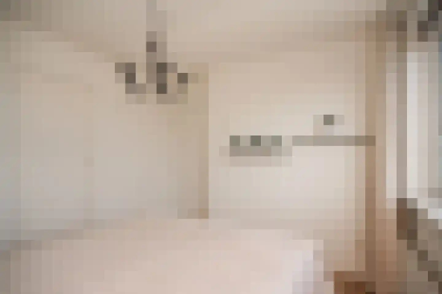 Dorpsstraat 97 Meeuwen thumbnail 16