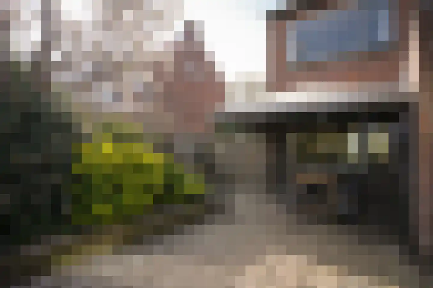Dorpsstraat 97 Meeuwen thumbnail 28
