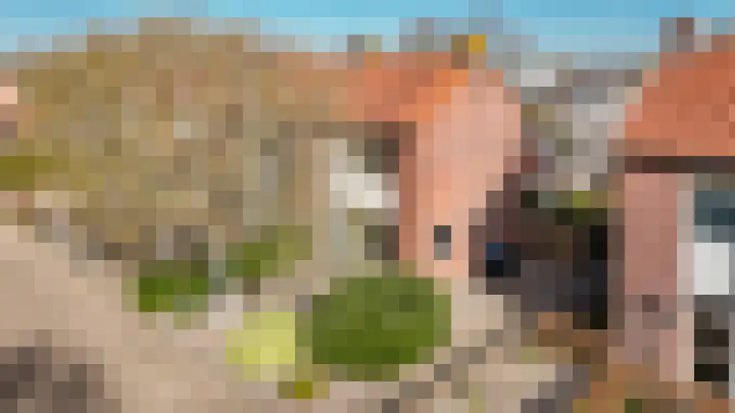 Dorpsstraat 97 Meeuwen thumbnail 32